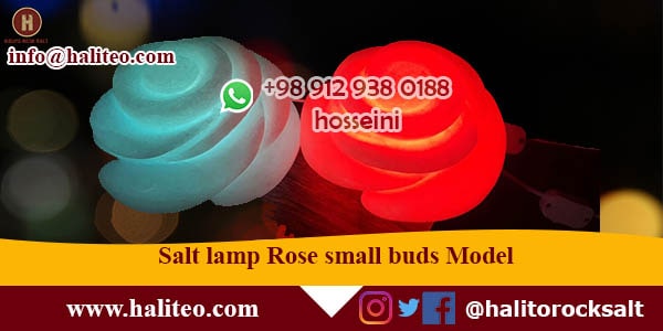 Salt lamp Rose