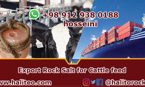 rock salt for cattle feed