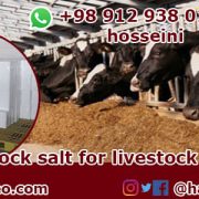 livestock rock salt