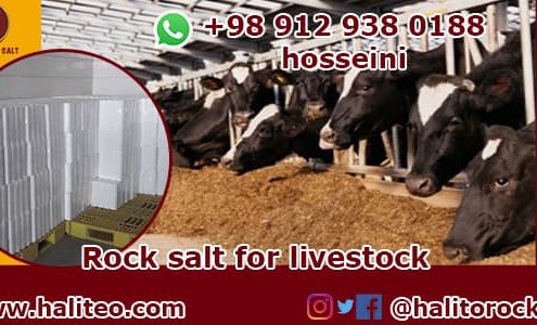 livestock rock salt