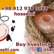 Buy livestock rock salt
