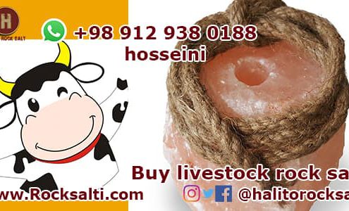 Buy livestock rock salt