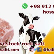 Export livestock rock salt
