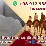 sale of livestock salt