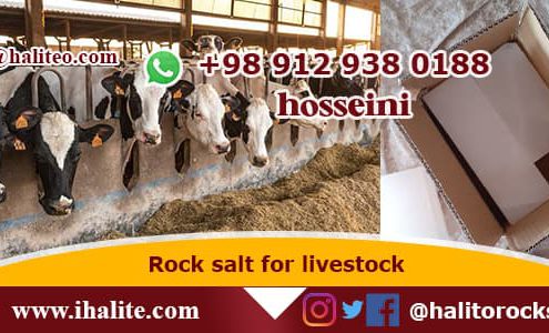 rock salt for livestock