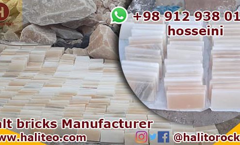 Salt Bricks For Building