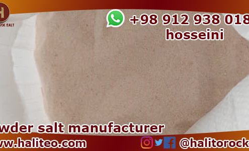 Manufacturer of powder salt