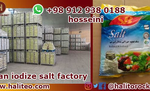 Iran salt factory