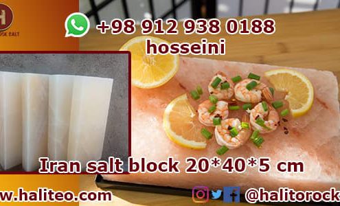 salt block cooking