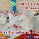 Iran salt market