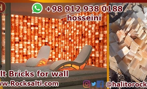 manufacturer of salt bricks