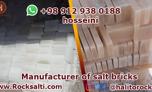 Manufacturer of salt bricks