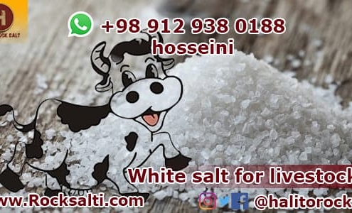 White salt livestock