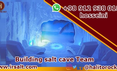 Wholesale of salt bricks