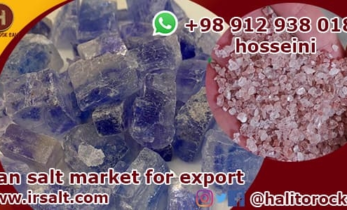 Iran salt market